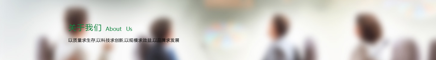 公司介绍